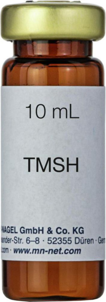 Alkylačné činidlá pre GC - hydroxid trimetylsulfónia