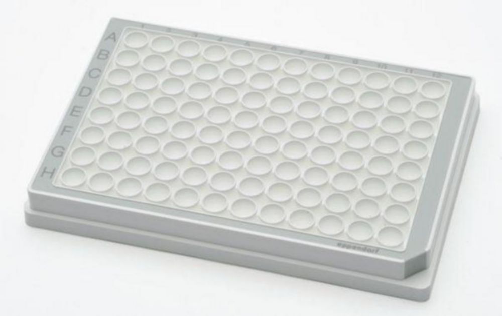 Mikroplatničky, 96/384 jamiek, PCR clean