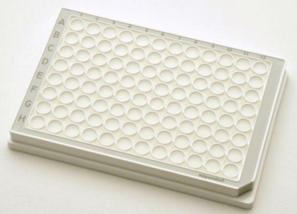 Mikroplatničky, 96/384 jamiek, PCR clean