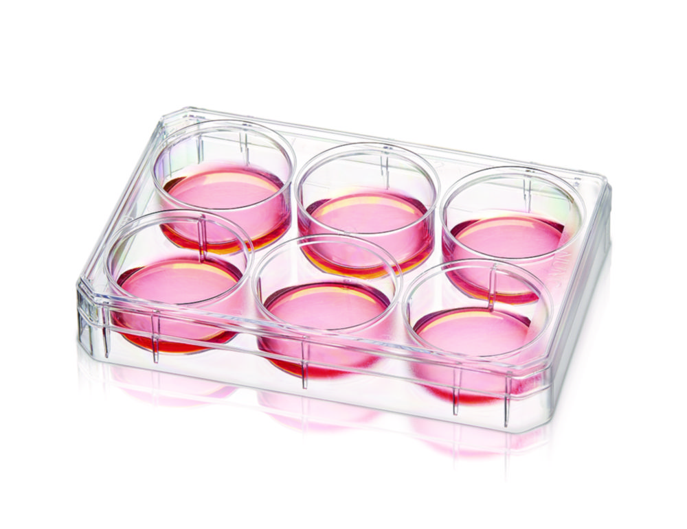 Multidishes Nunc™, PS, s povrchom Nunclon™ Supra