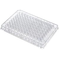 Obrázek produktové varianty