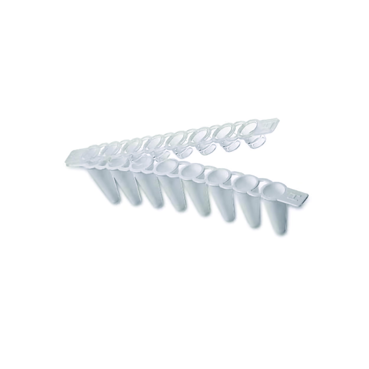 Skúmavky na PCR v reálnom čase, pásy po 8 kusoch, so samostatnými pásmi viečok Masterclear<sup>®</sup>