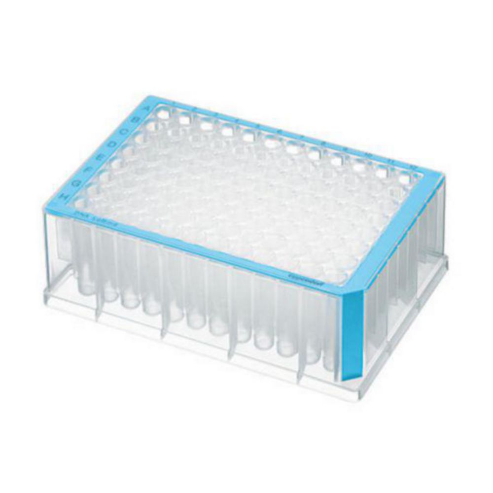 Hlboké jamky, 96/384 jamiek, PP, PCR clean
