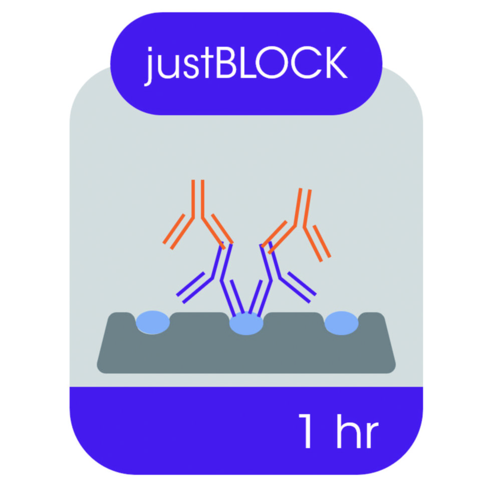 Blokovací roztok pre Western blot