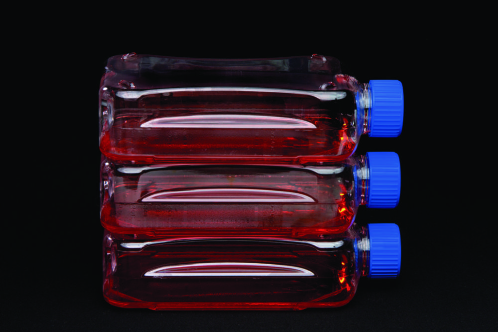 Cell culture flasks Nunc™ 300cm², treated, PS/HDPE, sterile
