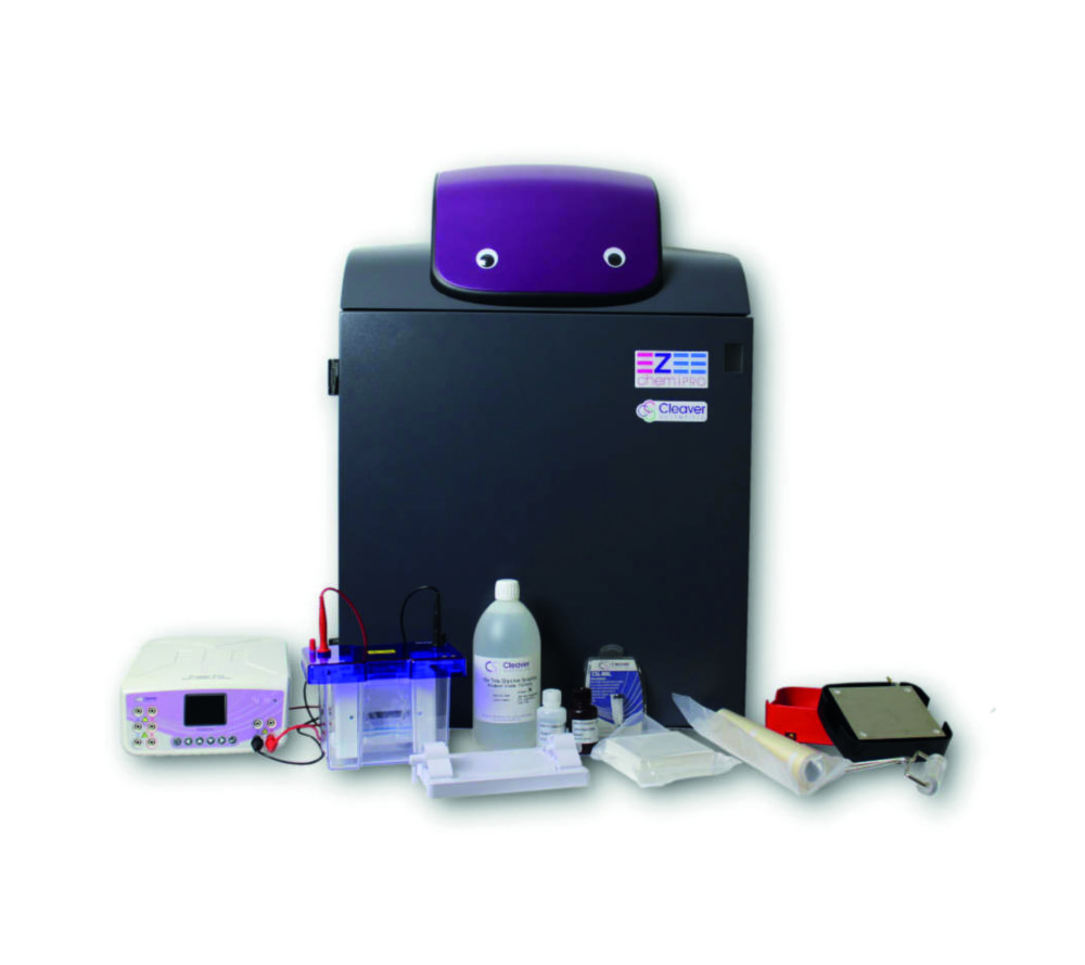 Balík Mini Western Blotting Workflow WESTERNFLOWPROMINI