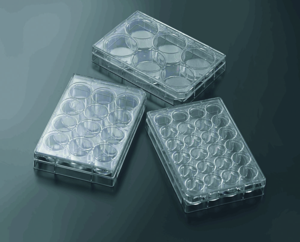 3D platne na kultiváciu buniek <sup>CellSCAFLD®</sup>, ošetrené, PS, sterilné