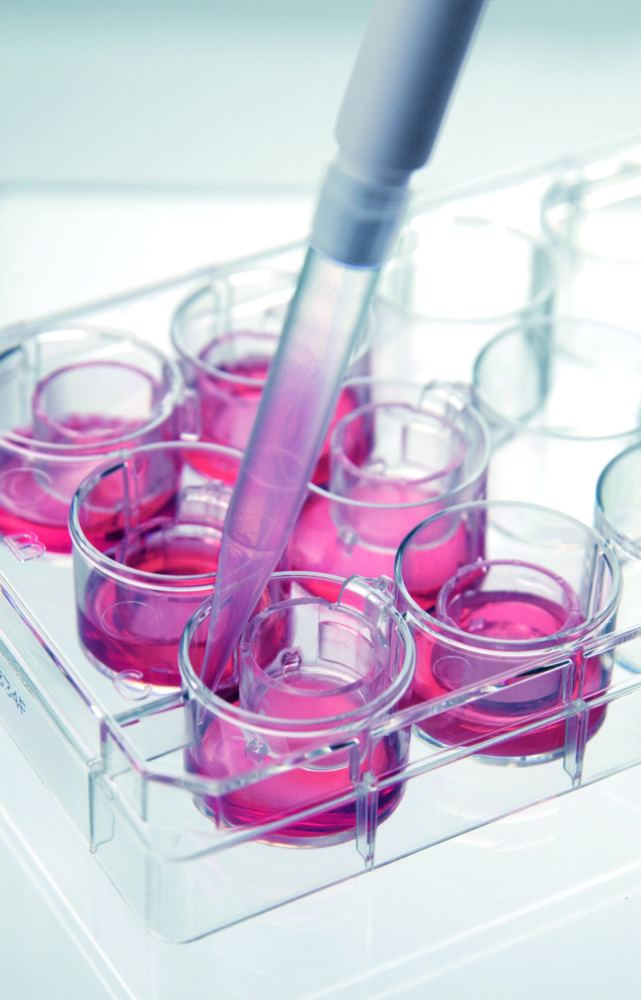 Cell culture inserts 2in1, for 12-well-plates