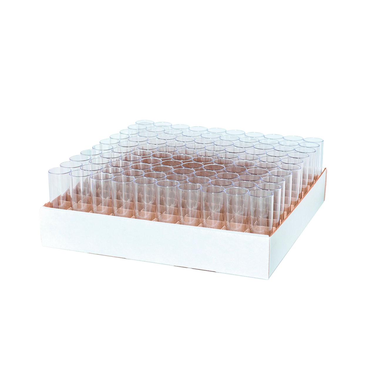 Trubice na Drosophila, PP